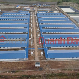 Bán Trang trại heo 26 Ha -Chư Prông, Gia Lai. Quy mô 18.000 heo thịt, Đang cho thuê 1.1 tỷ/tháng _0