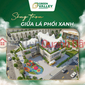 Biệt thự, nhà phố dự án Green Valley City, Khu \