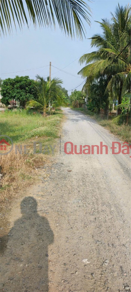 Property Search Vietnam | OneDay | Residential Sales Listings, SUPER BEAUTIFUL LAND - GOOD PRICE - URGENTLY SELLING A PLOT OF POTENTIAL LAND IN MY HANDHAN BAC COMMUNE, DUE HOA, LONG AN