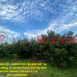 ĐẦU TƯ SINH LỜI – CHÍNH CHỦ CẦN BÁN ĐẤT Tại Xã Trường Đông, thị xã Hòa Thành, tỉnh Tây Ninh ĐẦU TƯ SINH LỜI – CHÍNH CHỦ CẦN BÁN ĐẤT Tại Xã Trường Đông, thị xã Hòa Thành, tỉnh Tây Ninh _0