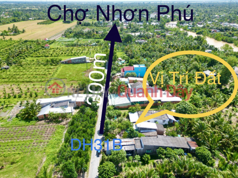 Owner Needs to Quickly Sell Land Fronting Road 31B in Nhon Phu Commune, Mang Thit District, Vinh Long Province _0