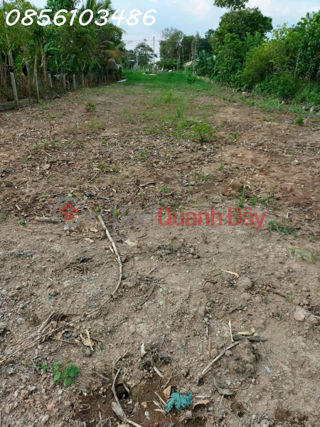 ₫ 7 Billion THE OWNER IS URGENTLY SELLING A BEAUTIFUL LOT OF LAND, 100% TERRITORY, IN URBAN LAND IN Lai Vung, Dong Thap