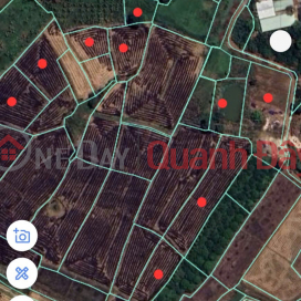ĐẤT CHÍNH CHỦ - VỊ TRÍ ĐẸP - Cần Bán Nhanh Lô Đất Liền Kề Tại Ấp 6, Sông Nhãn, Cẩm Mỹ, Đồng Nai _0