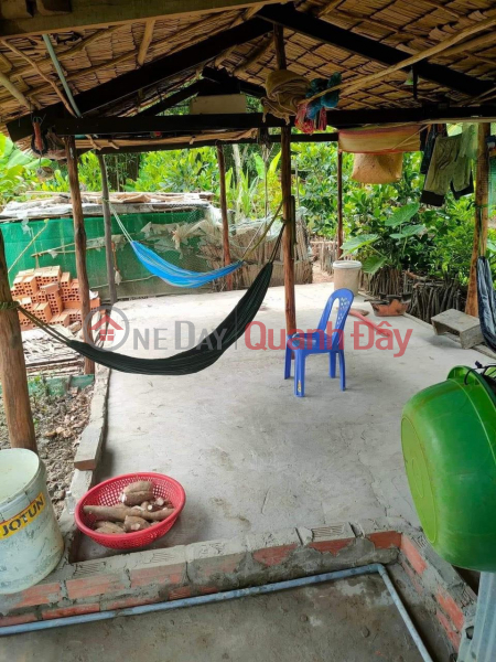 BEAUTIFUL LAND - PRICE Need to sell quickly a plot of land in Nga Nam Town, Soc Trang | Vietnam | Sales | ₫ 70 Million