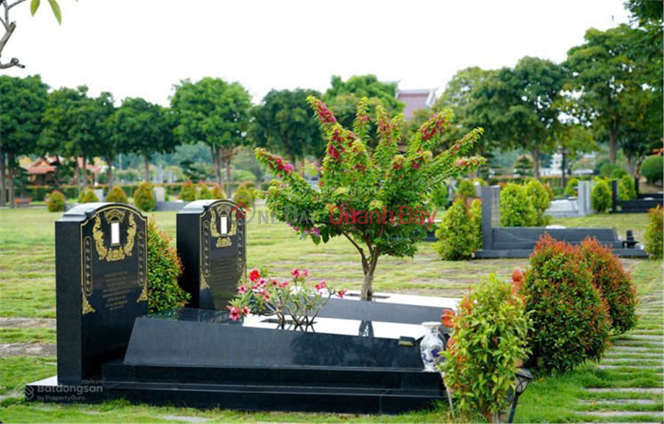  | Làm ơn chọn | Nhà ở Niêm yết bán đ 120 triệu