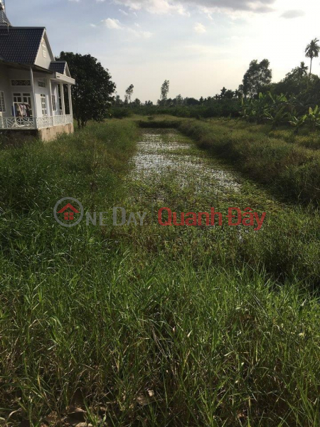 Property Search Vietnam | OneDay | Residential Sales Listings, BEAUTIFUL LAND - GOOD PRICE - Selling Land Lot Four Total - One Thousand In Chau Thanh A, Hau Giang