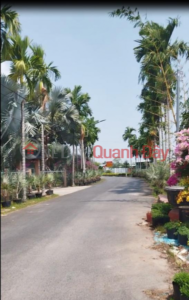 House and land for sale in Sa Dec Flower Village - Tran Khanh Du Street, 10m frontage, price 2.8 billion VND. Sales Listings