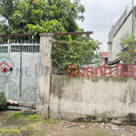 Land expanding to the back, SHR HXH 274m2 - Le Thi Lo, Hoc Mon Land expanding to the back, SHR HXH 274m2 - Le Thi Lo, Hoc Mon _0