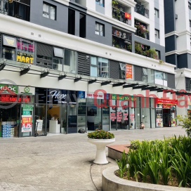 RARE OPPORTUNITY! HOPE RESIDENCES COMMERCIAL APARTMENT FOR SALE - PEAK FOR RESIDENCE AND BUSINESS! _0