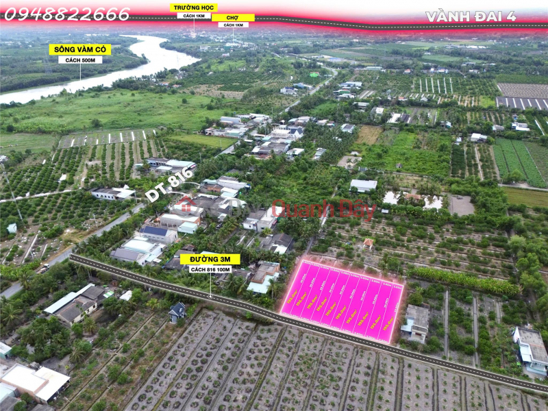 Property Search Vietnam | OneDay | Residential, Sales Listings | A prime property - Beautiful residential land for sale in Hamlet 5, Thanh Hoa, Ben Luc, area 195m2, ideal for investment.