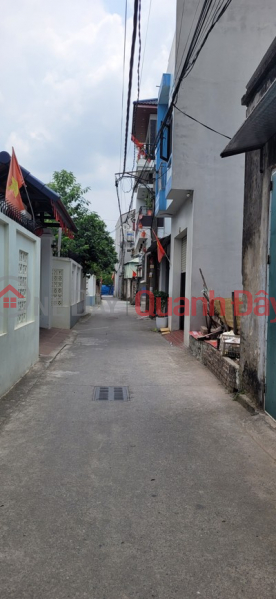 Property Search Vietnam | OneDay | Residential Sales Listings | Owner selling land in Co Duong, Tien Duong, Dong Anh - 52.2m2, 10m planned road, good investment opportunity.