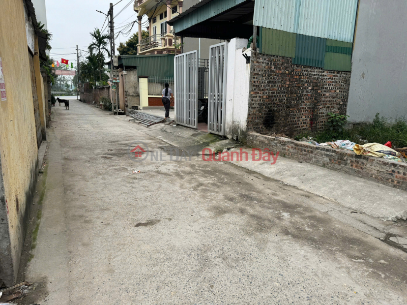 Property Search Vietnam | OneDay | Residential, Sales Listings, Selling 96m2 of land in Son Du, Nguyen Khe - Car access - 30m from inter-commune road
