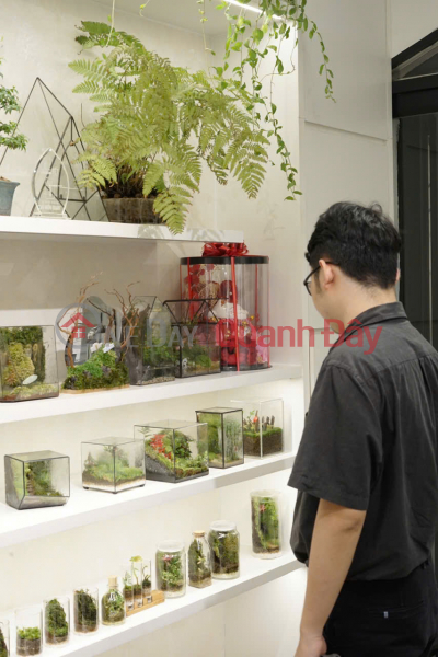Le Jardin Terrarium - Shop uy tín tại HCM, 37 Hoa Mai (Le Jardin Terrarium - Prestigious shop in HCM, 37 Hoa Mai) Phú Nhuận | ()(4)