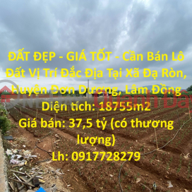 BEAUTIFUL LAND - GOOD PRICE - Land Lot For Sale Prime Location In Da Ron Commune, Don Duong District, Lam Dong _0