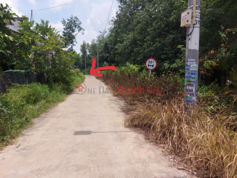 BEAUTIFUL LAND - GOOD PRICE - OWNER NEEDS TO SELL Land Lot in Lai Uyen Town, Bau Bang, Binh Duong Sales Listings