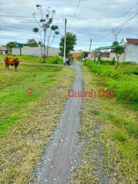 BEAUTIFUL LAND - PROFITABLE INVESTMENT - Owner Needs to Quickly Sell Land Lot in Hoa Khanh Dong Commune, Duc Hoa Long An Vietnam | Sales đ 1.9 Billion