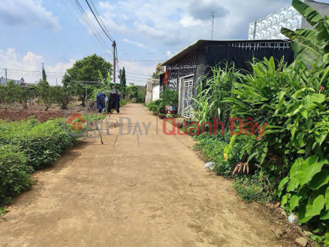 Land for sale in Tay Hoa Trang Bom 5x20, residential land, separate title _0