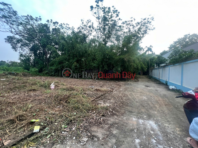 BÁN LÔ ĐẤT ĐẸP CHÍNH CHỦ - Giá tốt - Vị trí đẹp thôn Xuân Linh, Thủy Xuân Tiên, Chương Mỹ, Việt Nam | Bán đ 2,1 tỷ