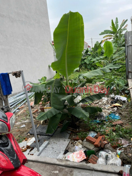 đ 1,31 tỷ BÁN LÔ ĐẤT ĐẸP TẠI HẢI THÀNH 2 - DƯƠNG KINH - TUYẾN CÔNG VIÊN