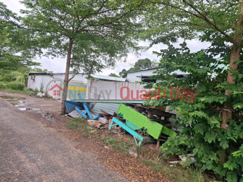 Owner selling a 1,800m2 factory in Go Dau, Tay Ninh - Currently producing animal feed, price 8 billion VND. _0