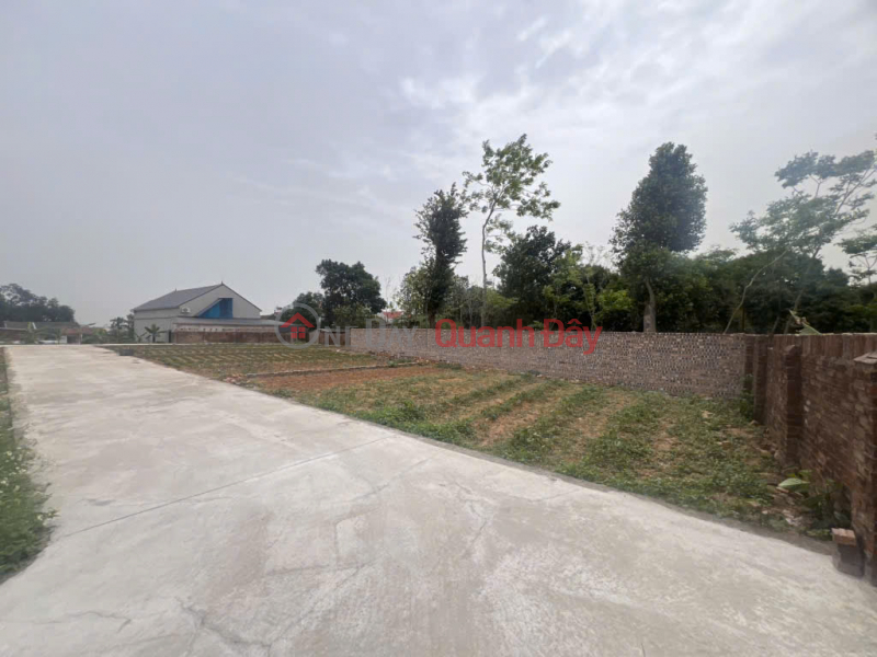 Own a beautiful 81m² plot of land in Thanh Lai, Phu Linh, Soc Son for only 2.X billion VND - Catch the rising price wave! Sales Listings