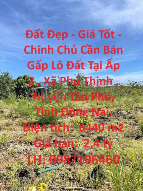 Beautiful Land - Good Price - Owner Urgently Needs to Sell Land Lot in Phu Thinh, Tan Phu, Dong Nai. _0