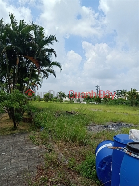 Selling 5,000m2 of warehouse land in Tan Quang Industrial Park, Van Lam District, Hung Yen Province., Vietnam, Sales | đ 700 Million