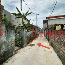 Land for sale in group 3, Quang Minh, Me Linh. Near industrial park and Quang Minh street. _0