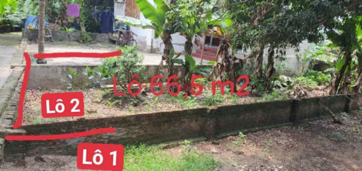 Property Search Vietnam | OneDay | Residential Sales Listings Investment in building a townhouse, area: 66.5 m2, Phuong Nghia, Phung Chau, price only over 30 million