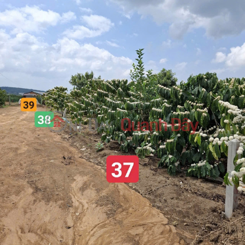 PRIME LOCATION – GOOD PRICE – OWNER SELLING HOUSE Phuc Hop Village, Phuc Tho Commune, Lam Ha District, Lam Dong Province _0