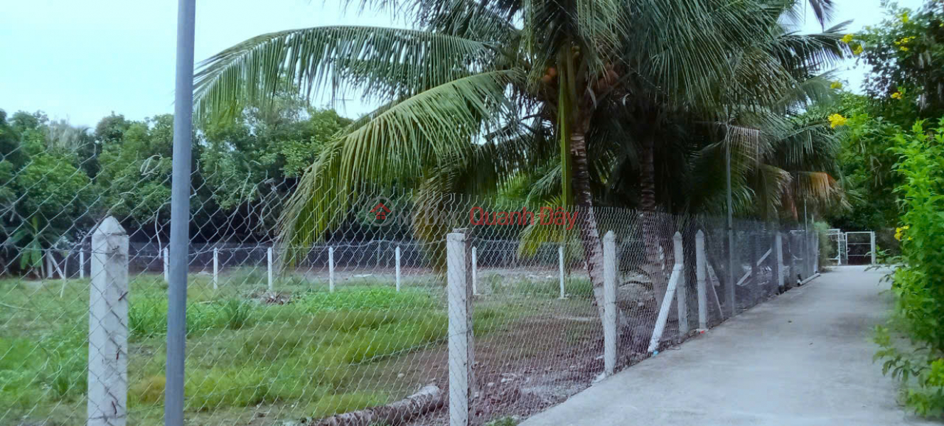 Land for Sale at An Son 32, An Son Commune, Thuan An City, Binh Duong 500 meters of Garden Land with Residential Land Sales Listings