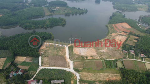 OWNER NEEDS TO SELL LOT OF Land, Subdivided Lot, Tho Son Commune, Trieu Son, Thanh Hoa _0