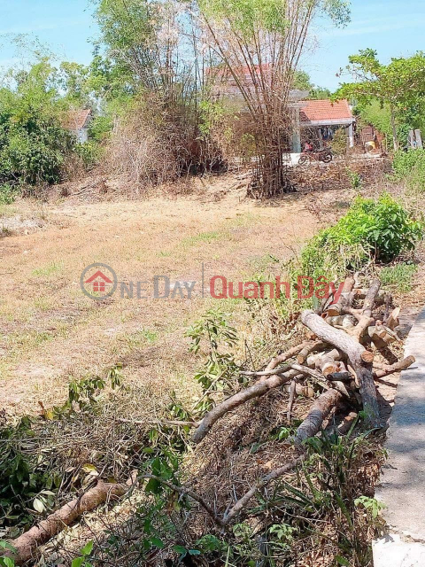 OWNER NEEDS TO SELL BEAUTIFUL 3-FACED LOT OF LAND IN Thang Binh - Quang Nam _0