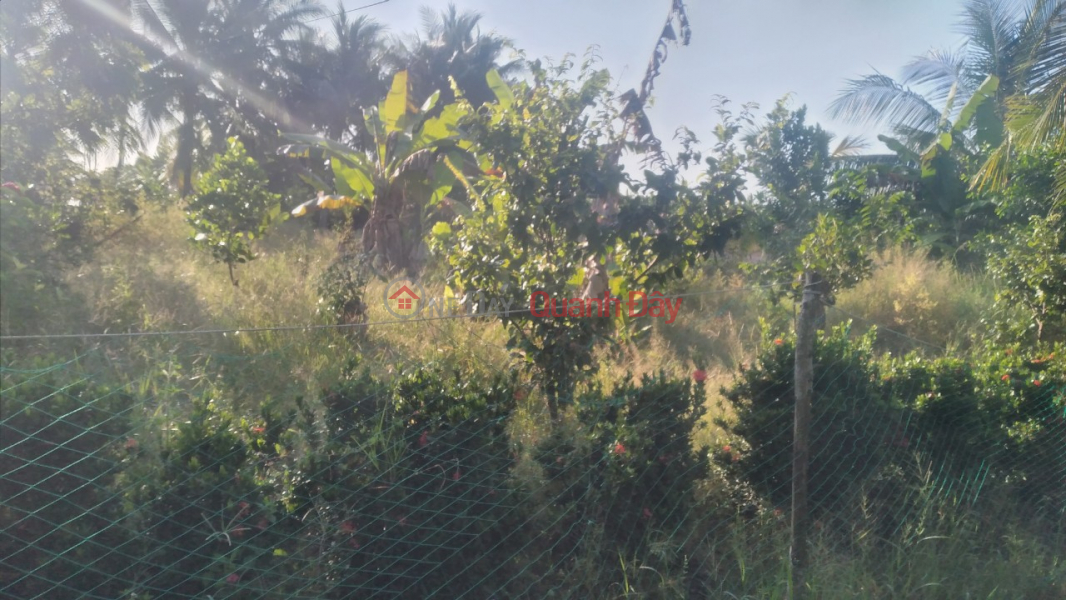 BEAUTIFUL LAND - GOOD PRICE - Owner Quickly Sells Land Lot in Nice Location In An Minh Bac - U Minh Thuong - Kien Giang Sales Listings