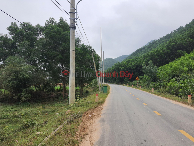 Property Search Vietnam | OneDay | Residential, Sales Listings The owner sells garden land in front of asphalt road DT 601, Hoa Vang District, Da Nang City