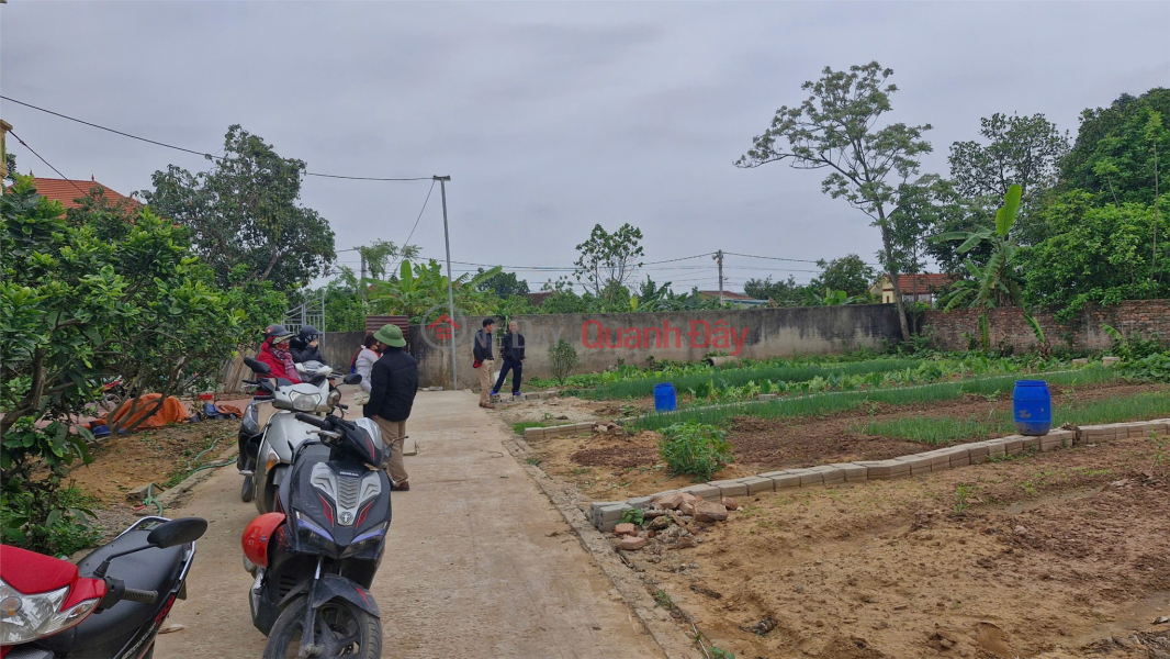 Property Search Vietnam | OneDay | Residential | Sales Listings, Beautiful land - investment price to own a potential F0 land lot in Thuong Tin district, Hanoi city