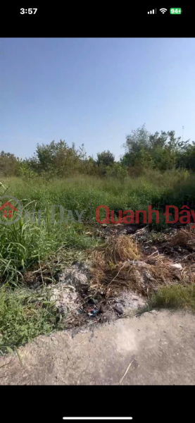 Property Search Vietnam | OneDay | Nhà ở | Niêm yết bán HOT HOT - CHÍNH CHỦ CẦN BÁN LÔ ĐẤT TẠI Xã Phước Lâm, Huyện Cần Giuộc, Tỉnh Long An.