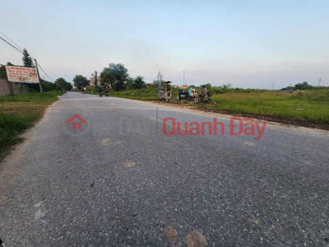 Land for sale on street 196, Dai Dong commune, Van Lam, Hung Yen _0