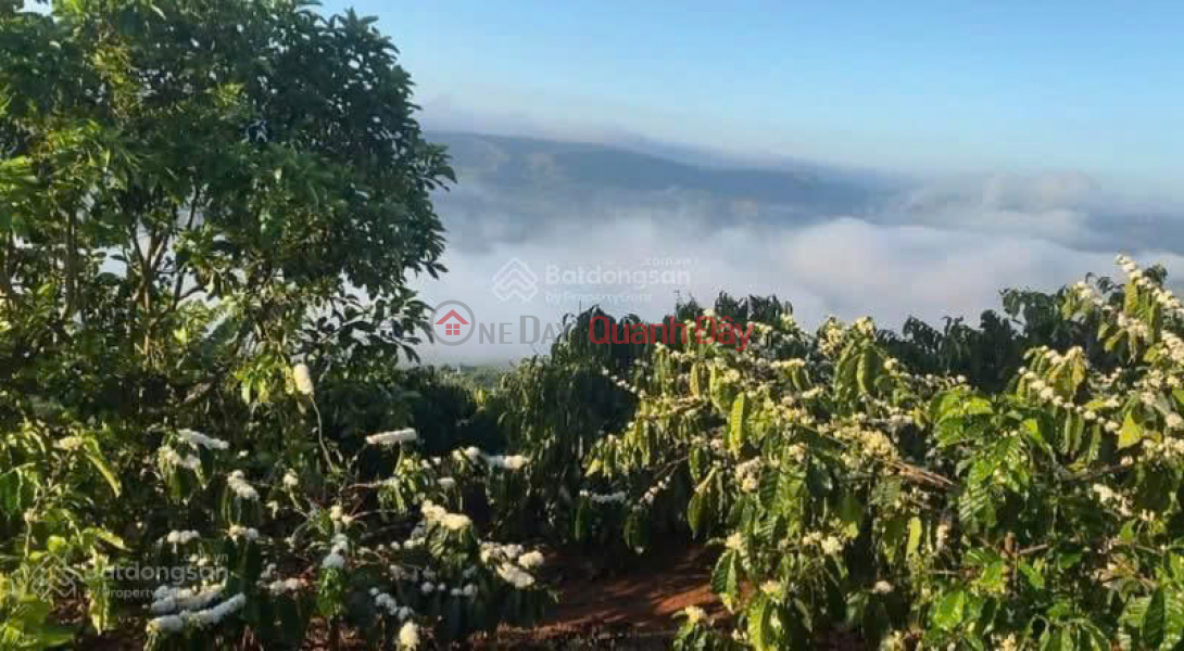 , Làm ơn chọn, Nhà ở Niêm yết bán đ 1,45 tỷ