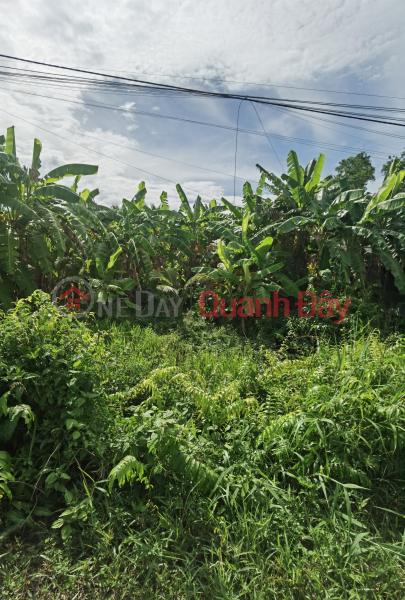 Property Search Vietnam | OneDay | , Sales Listings | The owner sent the front of Quang Lo Phung Hiep Belongs to Ward 2, Nga Nam Town, Soc Trang