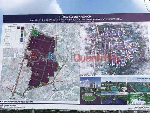 Owner Quickly Sells 2 Dau Ve Land Lots In Hoang Hoa, Thanh Hoa Province. _0