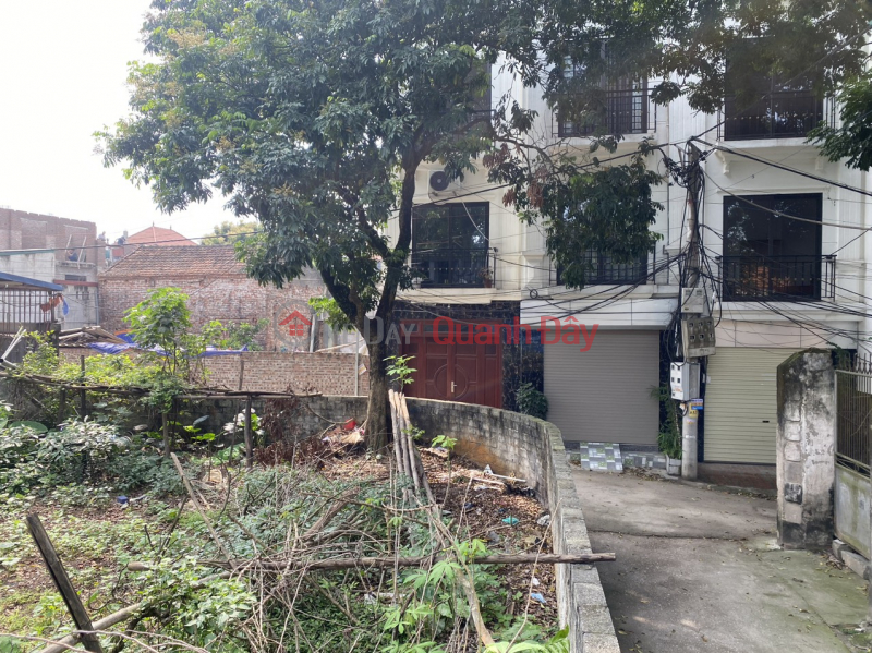 Property Search Vietnam | OneDay | Residential, Sales Listings | HOT PRODUCT - CORNER LOT - CAR - ALLEY - FULL RESIDENTIAL LAND - INVESTMENT DIVIDING LOT CC for sale 111m2, 3x million\\/m2, full land