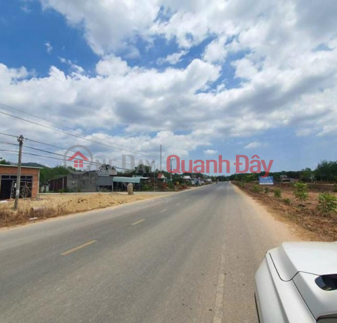 Transfer of large area of land in Suoi Kiet commune, Tanh Linh district, Binh Thuan province. (Exactly 300 meters from National Highway 55) _0