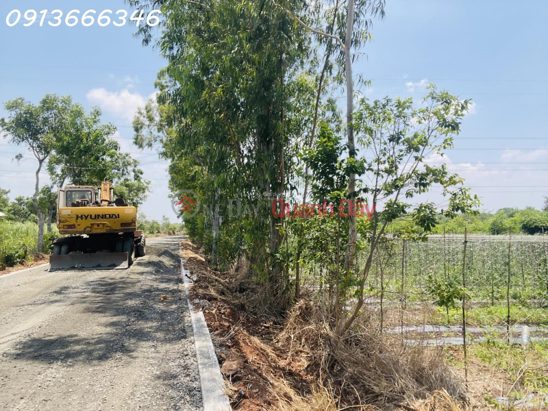 LAND FOR SALE IN LONG TAN COMMUNE (now Dat Do Commune, Ho Chi Minh City) with a 43m road frontage. Price for the entire plot., Vietnam, Sales, đ 3.2 Billion