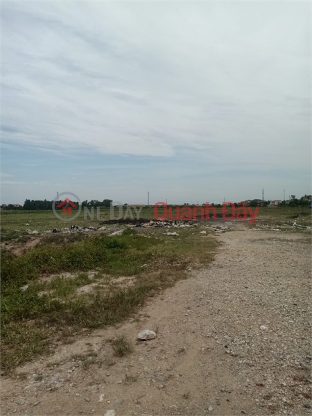 Selling 2.5ha of land for warehouse and factory for 50 years in Bao Dai commune, Luc Nam district, Bac Giang province, Vietnam, Sales | đ 150 Million