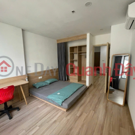 FPT Plaza 1 apartment for sale - 1 bedroom apartment _0