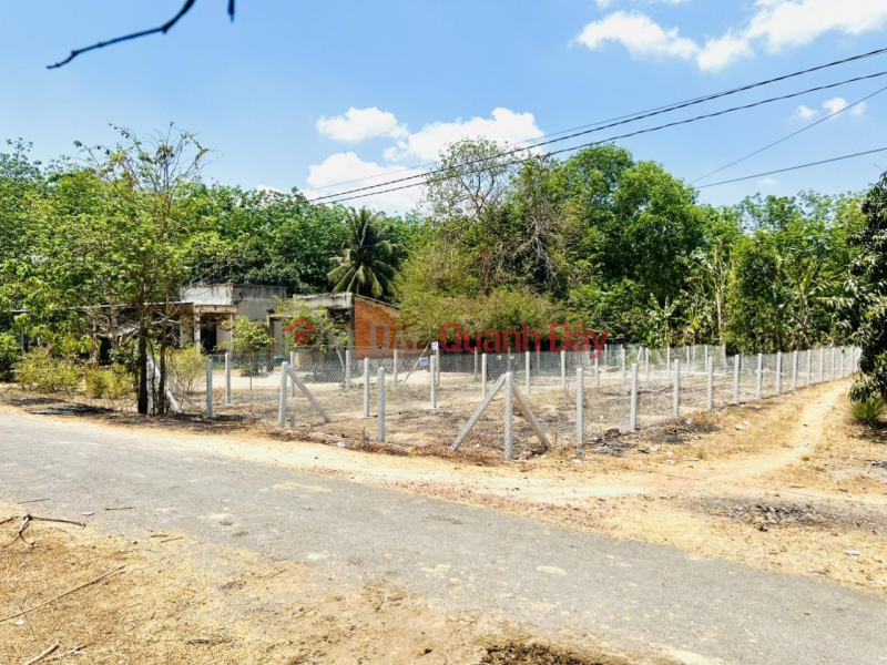 OWNER FOR SALE 2 Adjacent Land Lots, Beautiful Location In Hoa Hoi Commune, Chau Thanh Tay Ninh Vietnam Sales | đ 330 Million