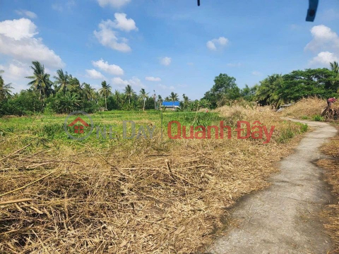 FIRST SALE BACKGROUND 155 million at An Tran with the title Location: 800m from DT934, in Vien An commune, Tran De, Soc Trang. _0