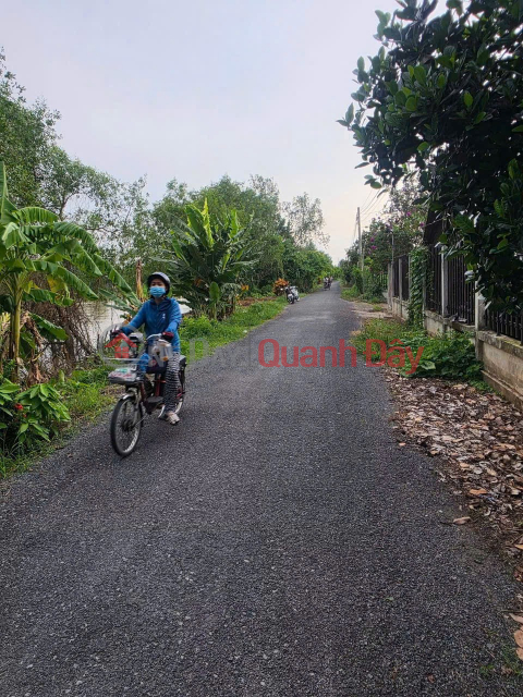 CHÍNH CHỦ BÁN 3.400m² ĐẤT TRỒNG SẦU RIÊNG RI6 – VƯỜN ĐANG THU HOẠCH - xã Bình Phú, Đồng Tháp _0