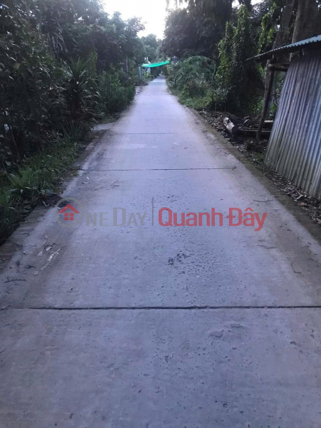 Owner needs to sell house and land in Hoa Long B hamlet, Kinh Cung town, Phung Hiep district, Hau Giang province. Vietnam, Sales | đ 630 Million